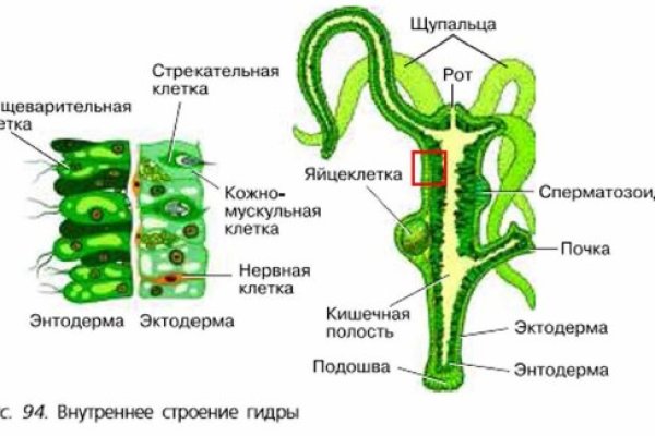 Кракен сайт 13at